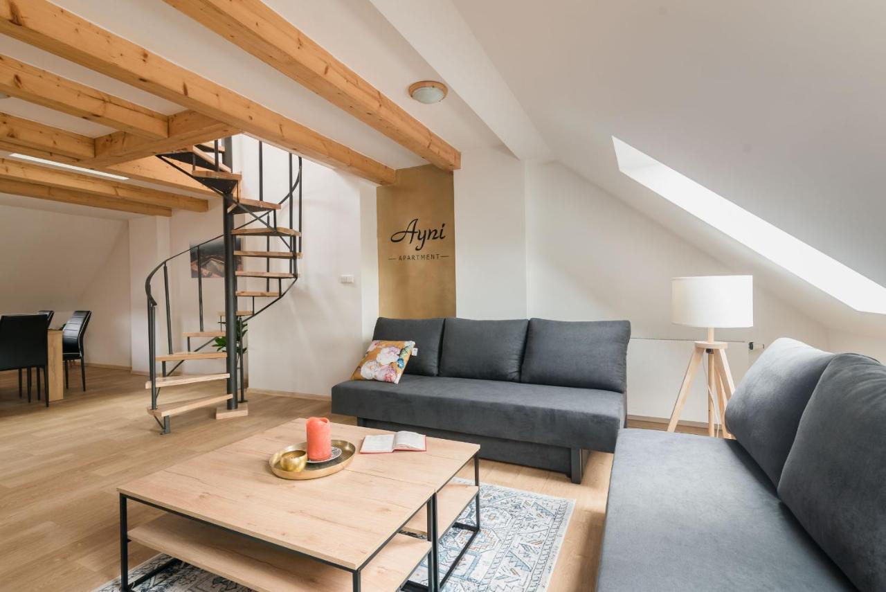Ayni Apartman 塞米利 外观 照片