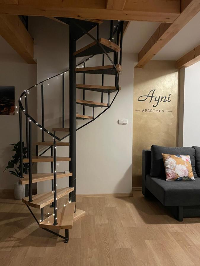 Ayni Apartman 塞米利 外观 照片